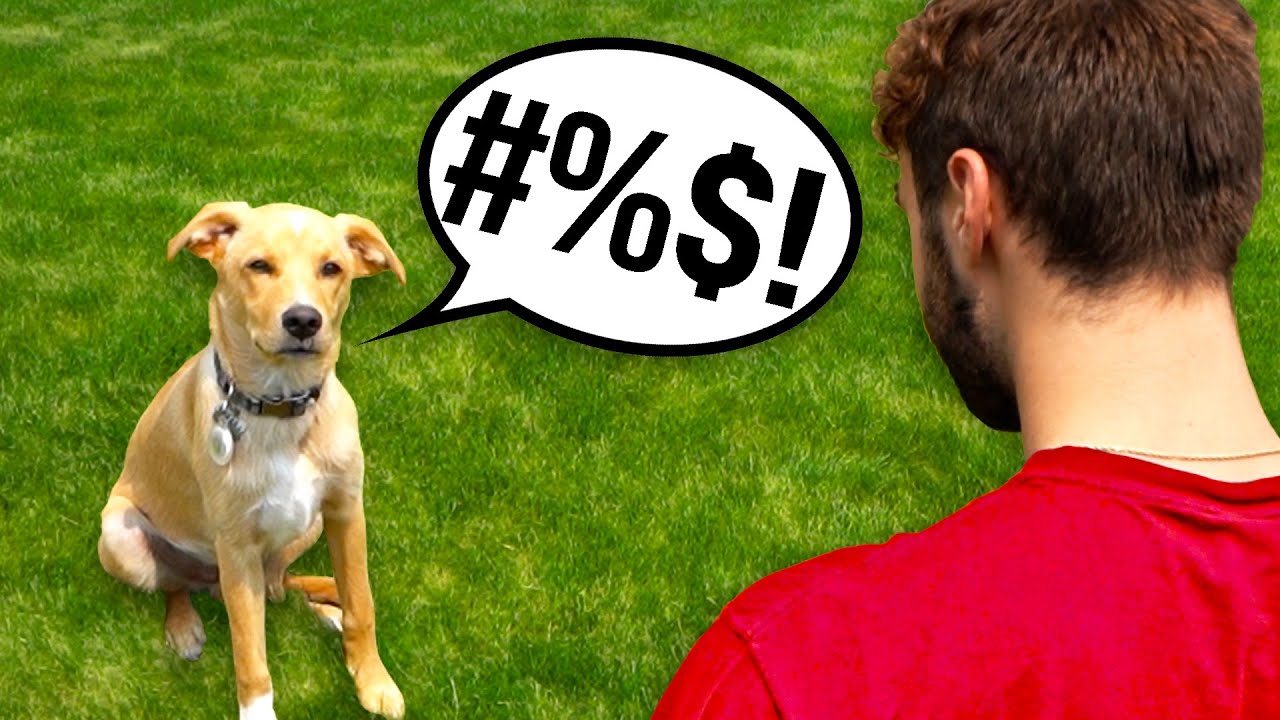 Cussing Dog Prank