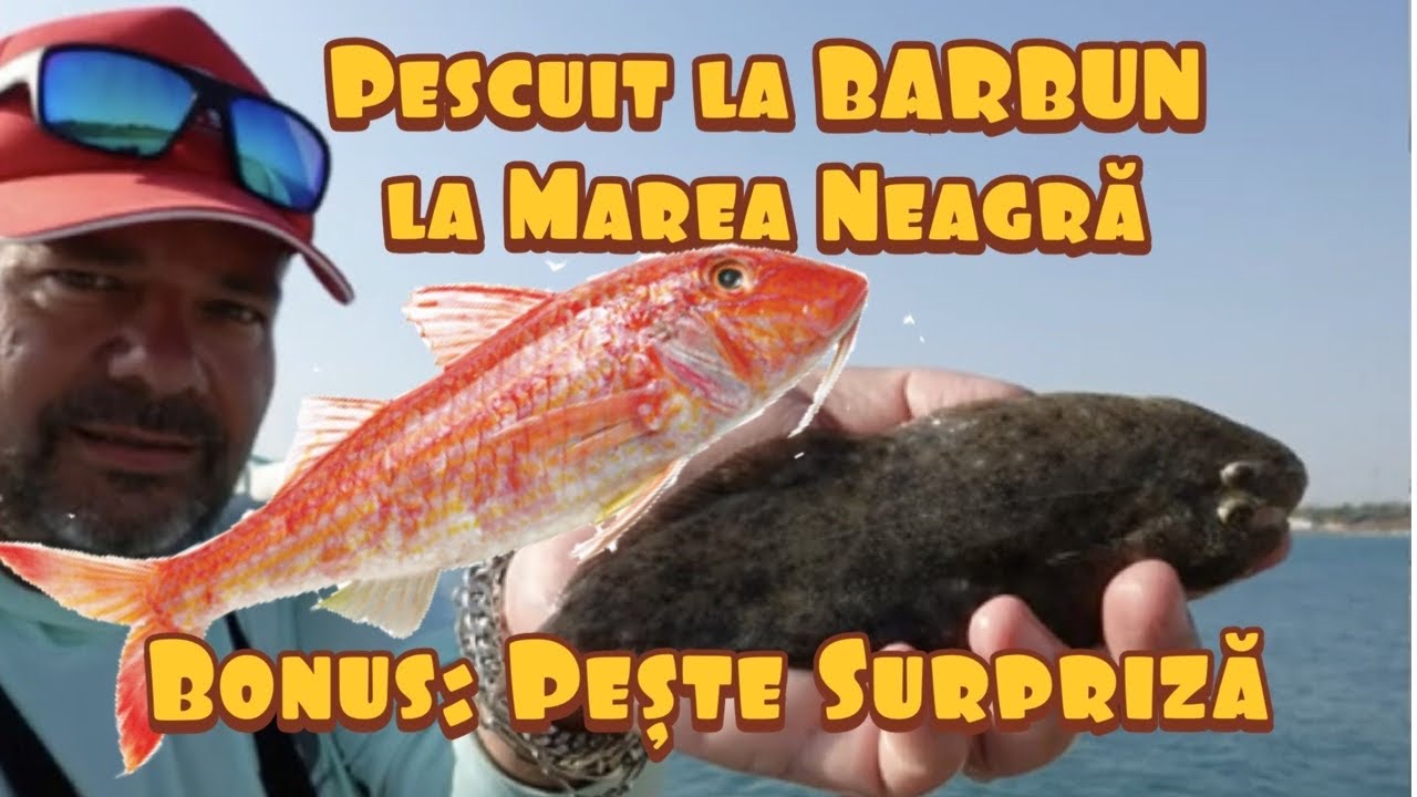 Pescuit la BARBUN pe digul de la 2 Mai-Marea Neagră. Bonus un pește surpriză!!!