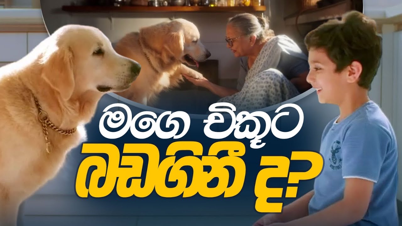 මගෙ චිකූට.. බඩගිනී ද? 🐕