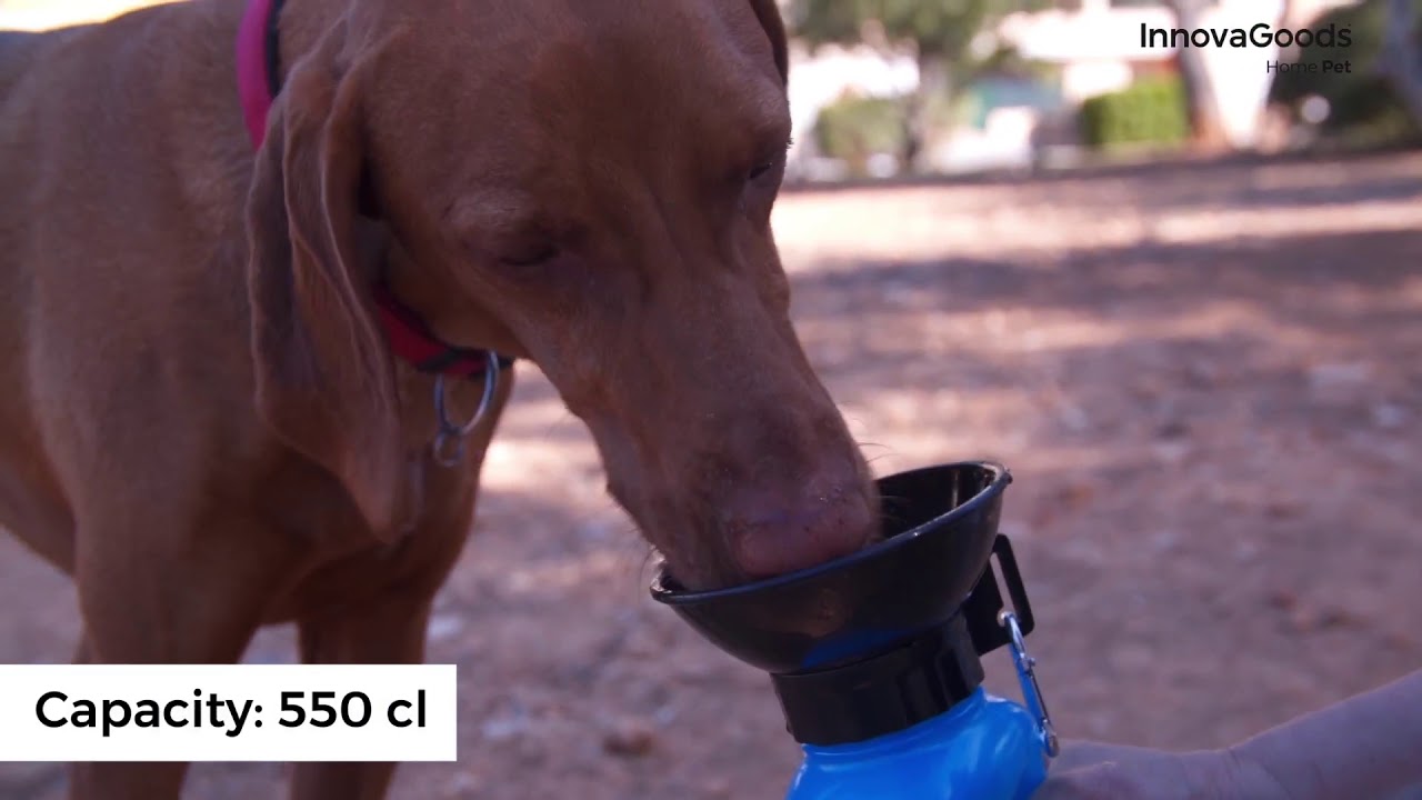 Bottiglia Abbeveratoio da viaggio per Acqua per Cani