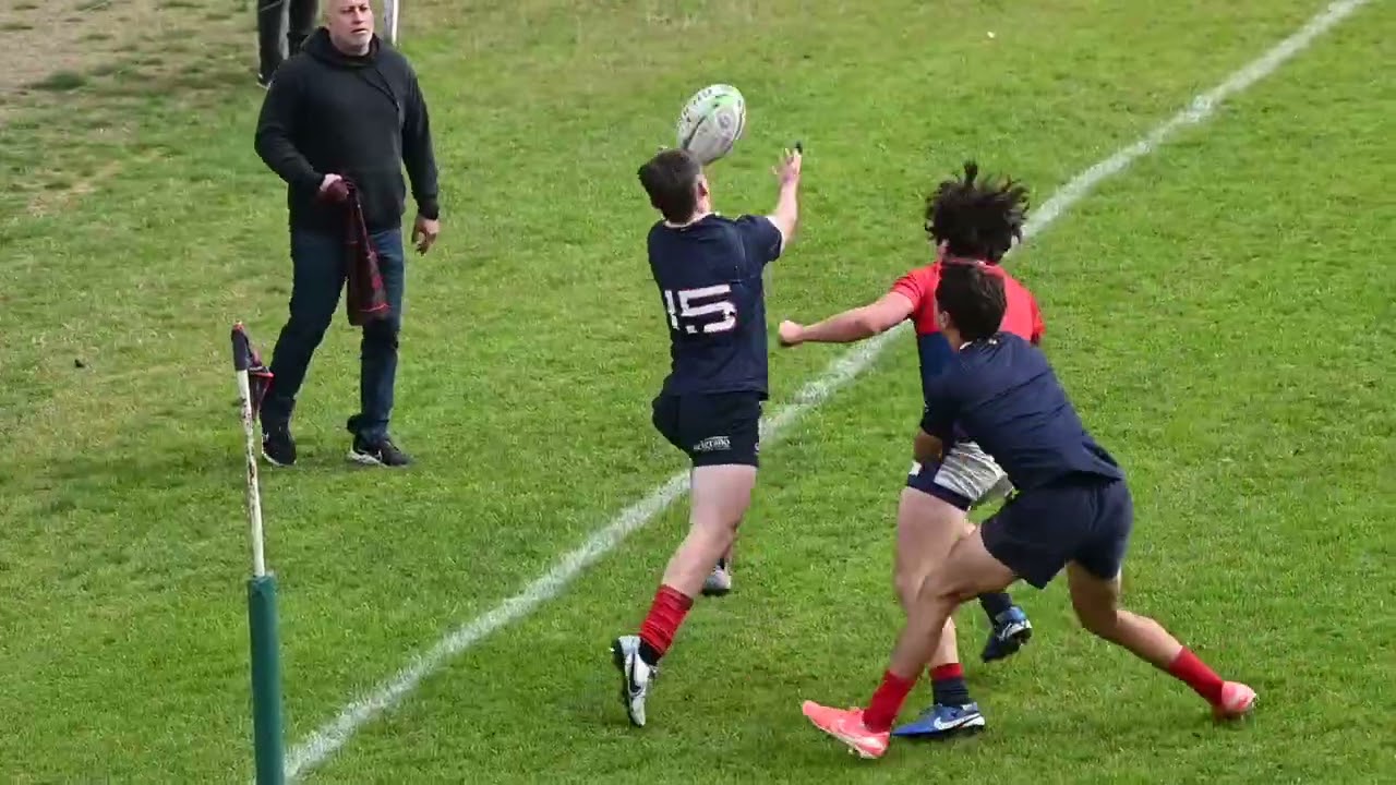 251231   Manu resumen 2025   medio