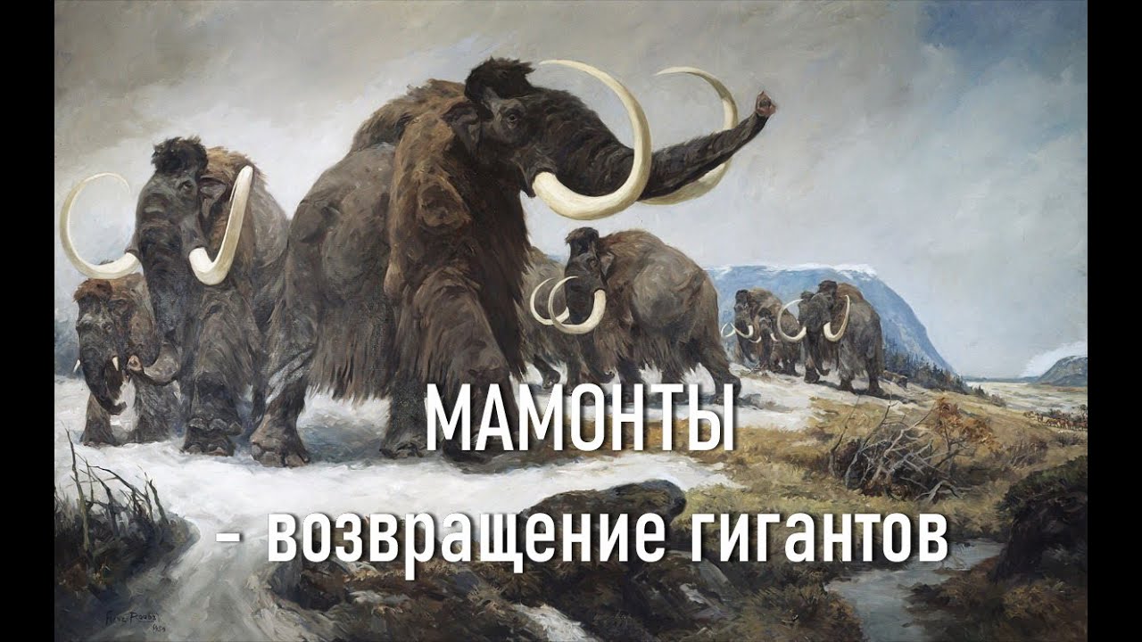 документальный фильм 