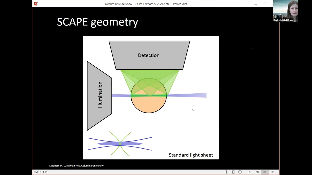 Elizabeth M.C. Hillman - Fast 3D Microscopy to Capture the Dynamics of Life