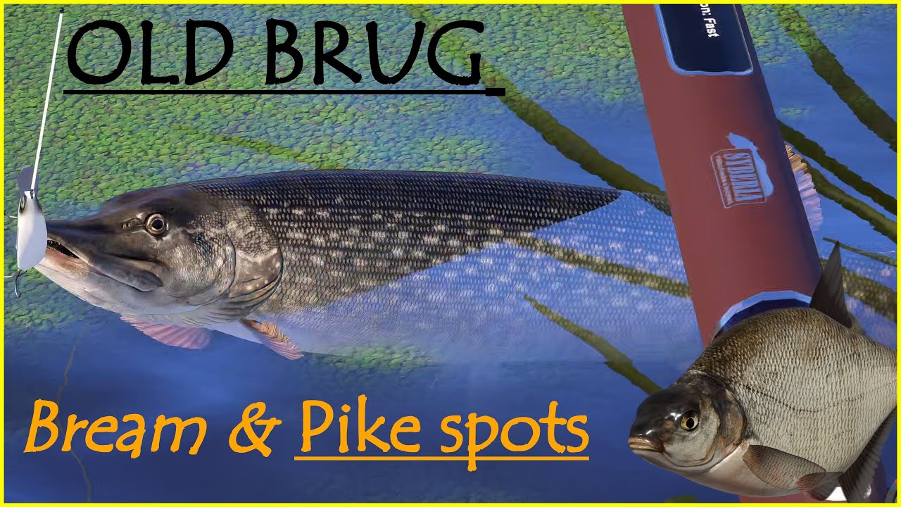 Pike spots +Old bream ? Burg | Russian Fishing 4  #394