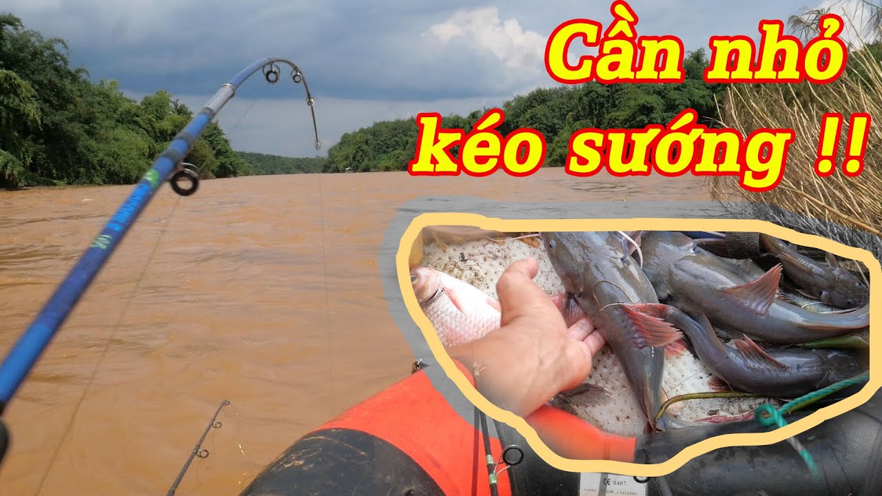 Săn cá lăng đuôi đỏ giữa sông, chụp nhanh không là bay cần ✅