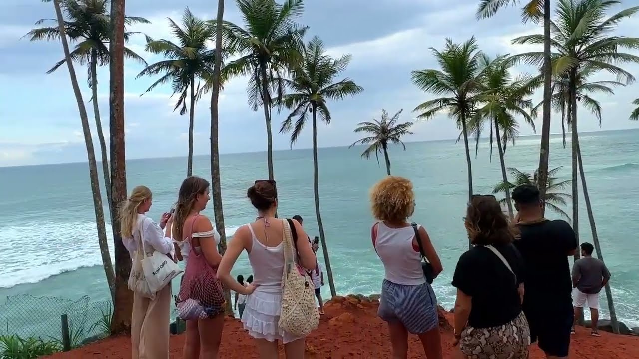 📍 How to Reach Coconut Tree Hill &ndash; Mirissa | Complete Guide by Senu Tours 🌴