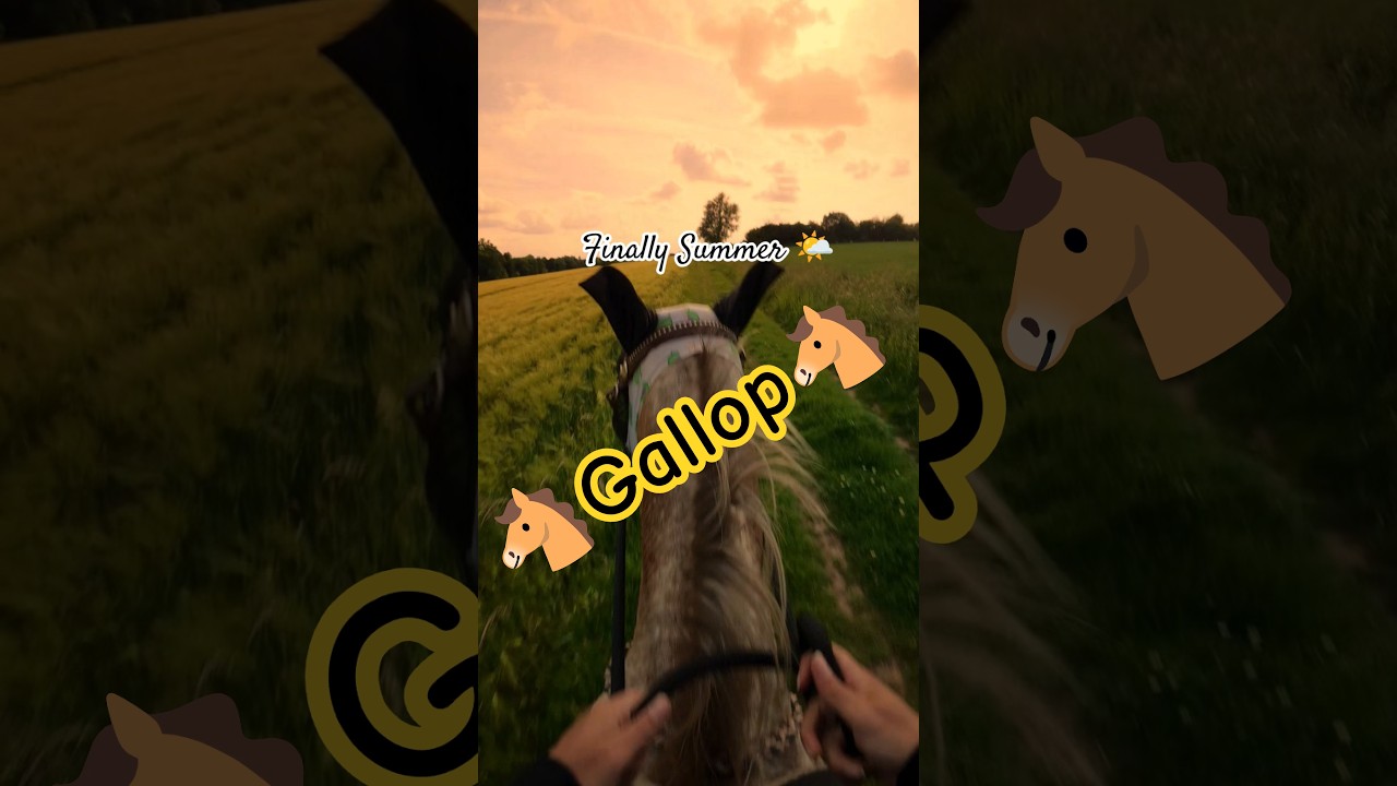 ГАЛЛОП🐴 Что может быть ЛУЧШЕ? #галоп #лошадь #езда