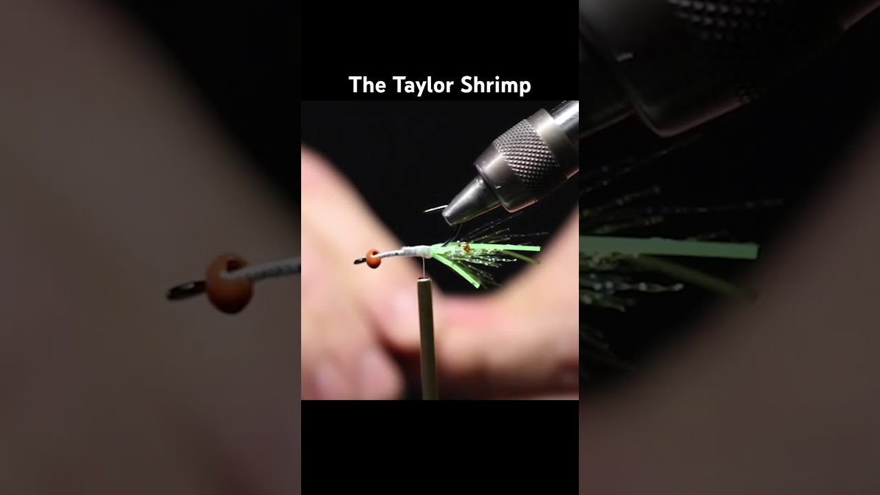 FLY TYING SALMON FLIES: THE TAYLOR SHRIMP 