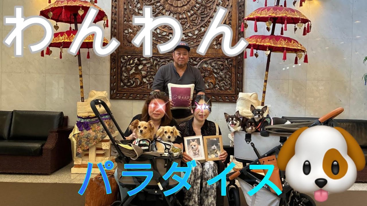 愛犬お宿 伊豆高原 🐶ワンコも飼い主もまさにパラダイス