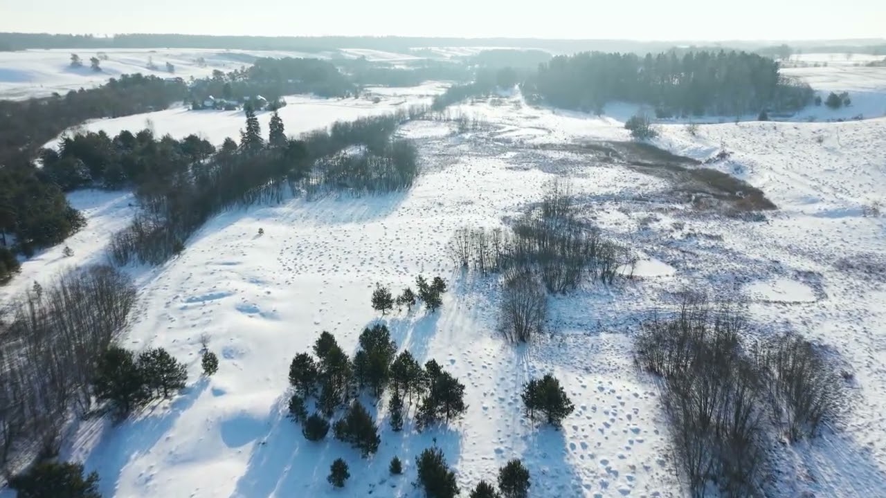 Dubysos vingiai žiemą. Dubysa river in winter. 2026 (4K)