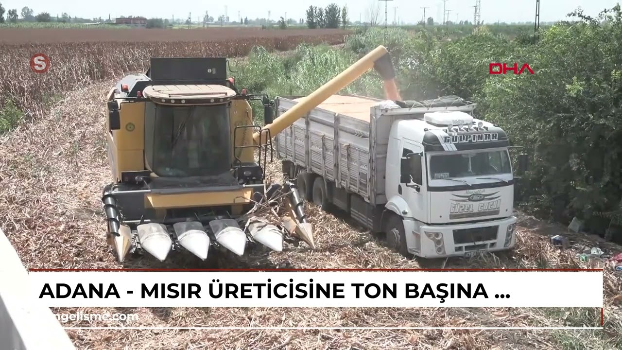 Adana - Mısır üreticisine ton başına 688 lira ek destek