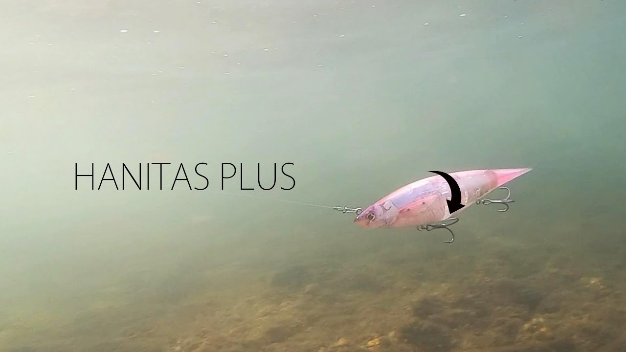 HANITAS PLUS｜ハニタスプラス