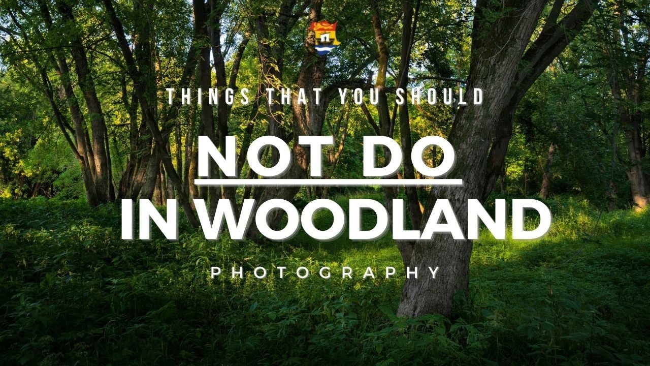 What NOT to do in WOODLAND Photography (So that you can improve)