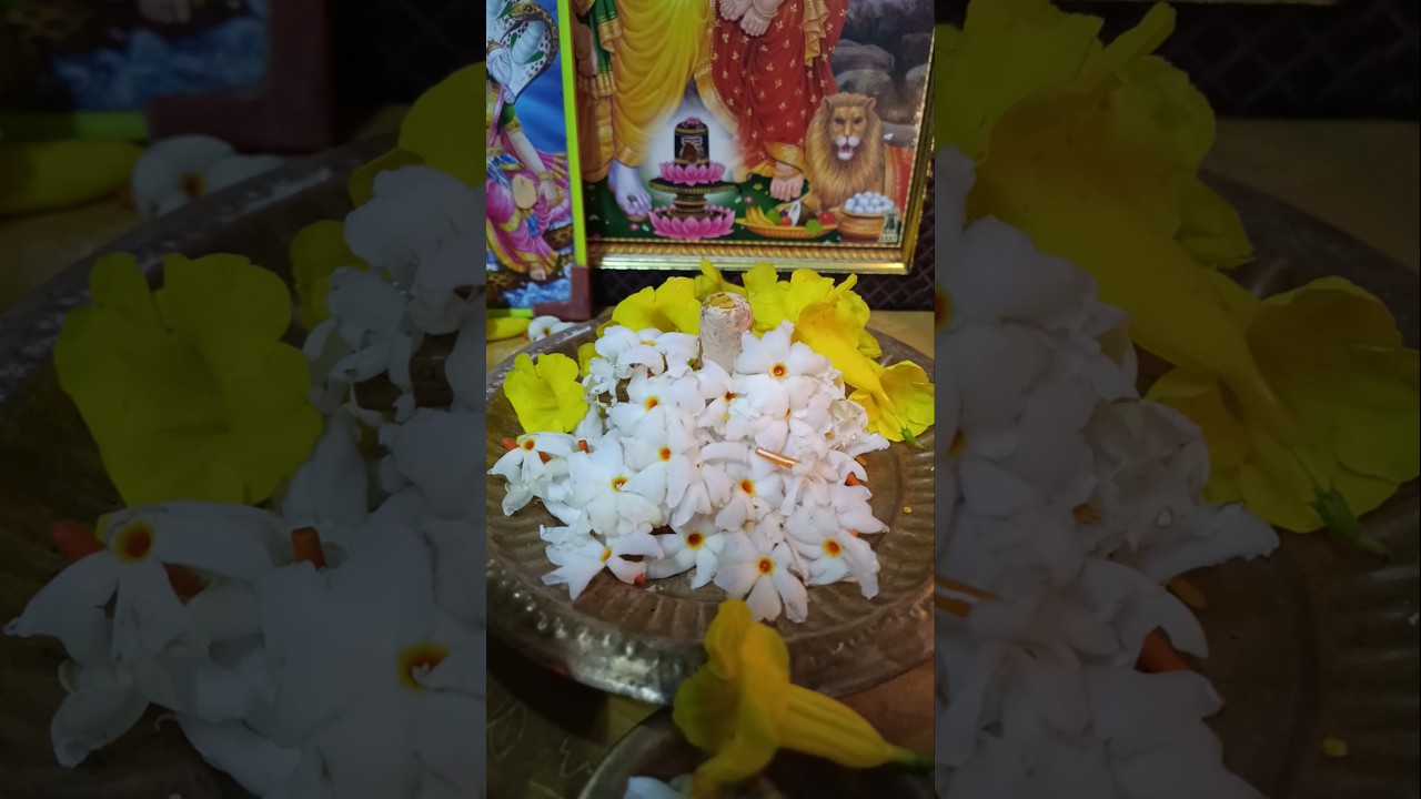 15 Jan 2026 Om Namah Shivaya 🕉️ Om Ganapathi 🕉️ Daily Puja with Parijata flowers🌸