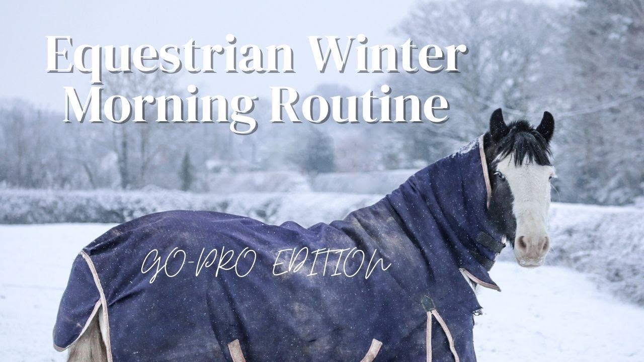 EQUESTRIAN MORNING ROUTINE 2023 | GO-PRO EDITION | Morning Routine Of An Equestrian In Winter