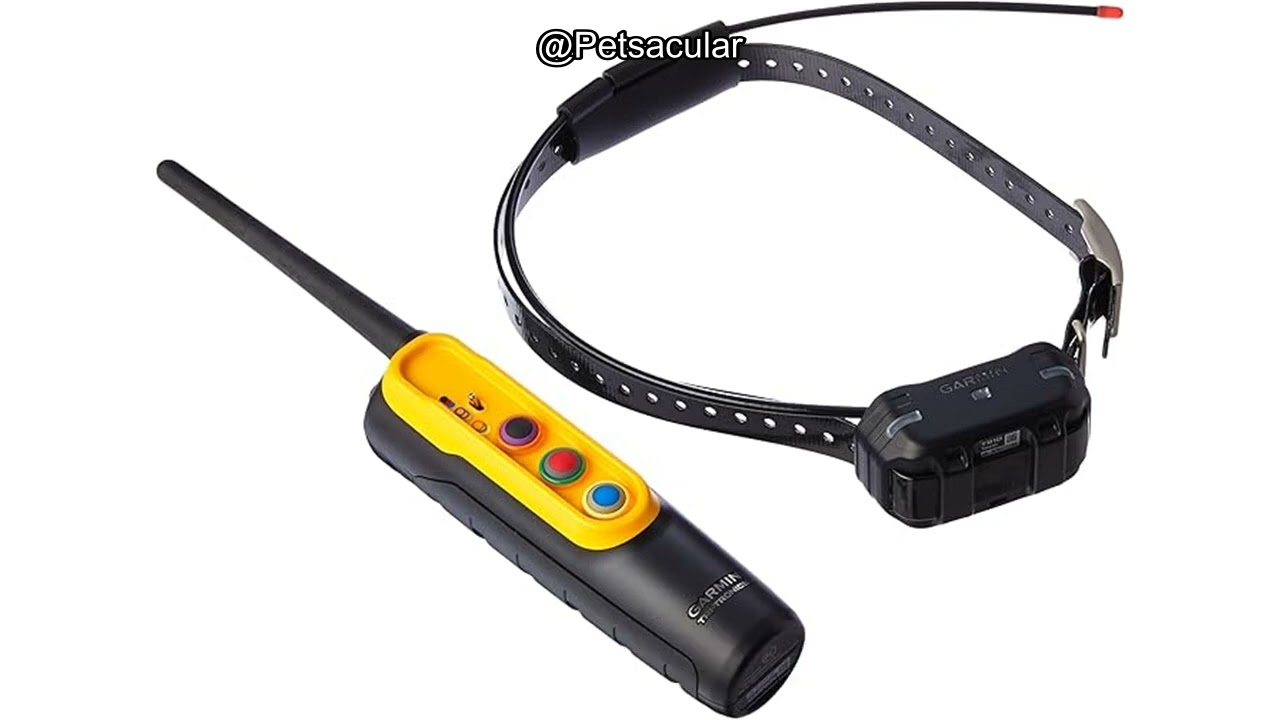 Garmin Pro Trashbreaker Dog Training System Review: Worth the Investment for Multi-Dog Households?