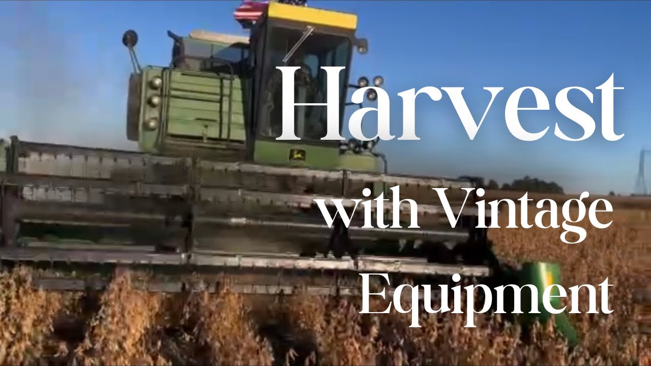 New farmer’s third harvest!
