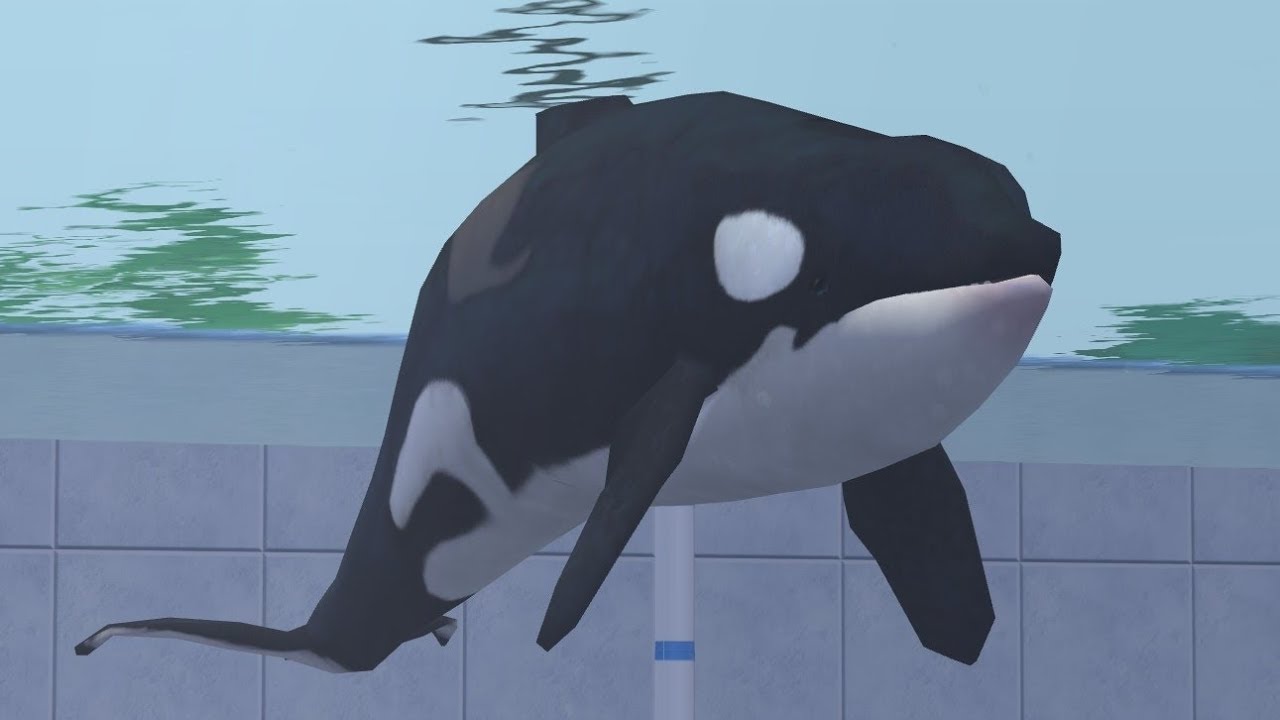 Zoo Tycoon 2: Marine Mania Campaign - Marine Animals - Arluq The Orca