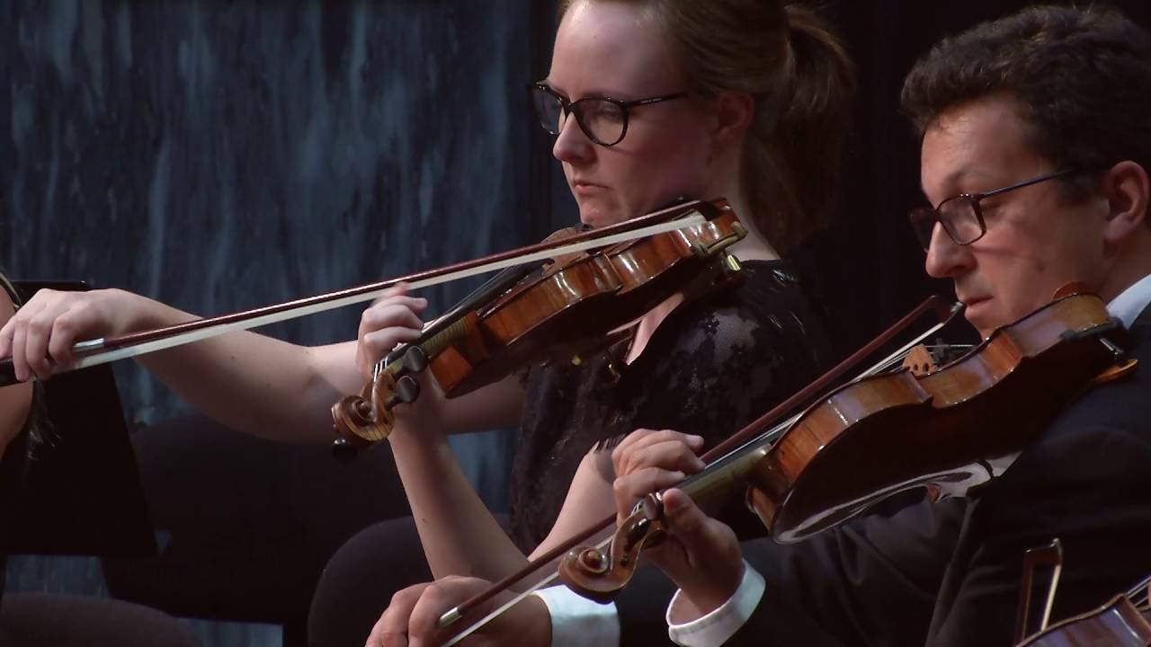 Gy&ouml;rgy Ligeti: Ramifications for string orchestra