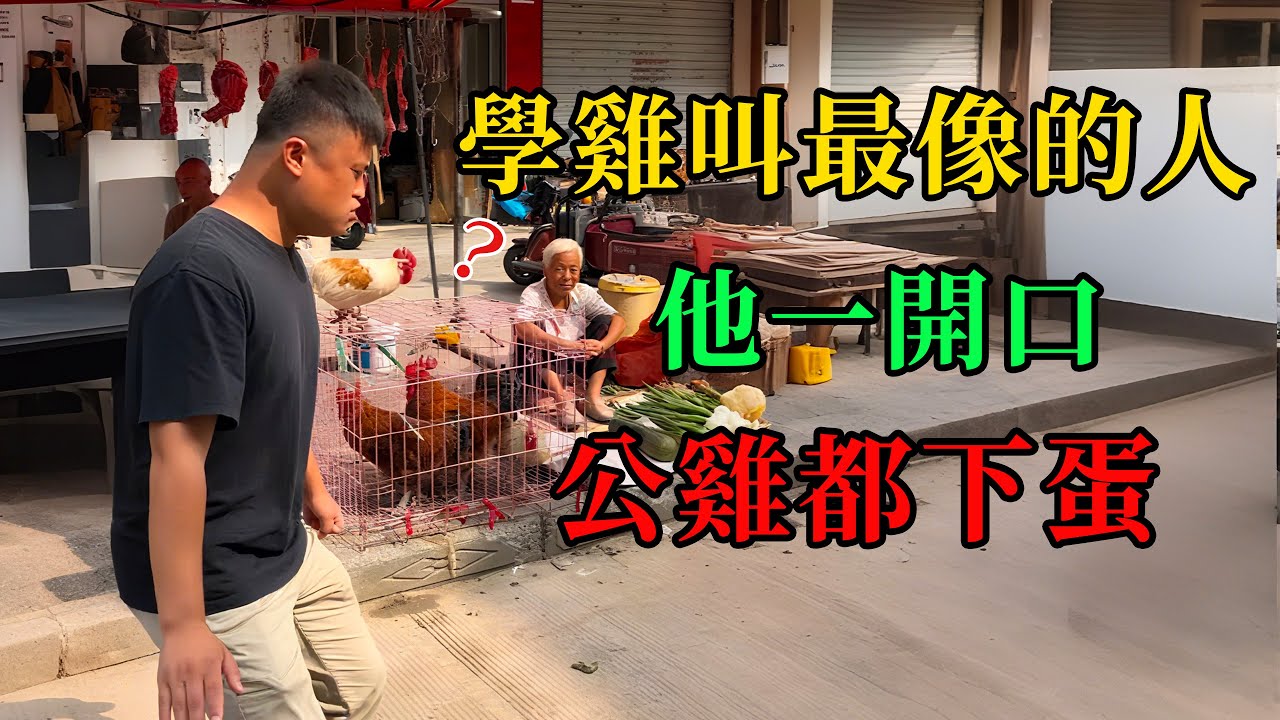 學雞叫最像的人，他一開口🐓雞公都下蛋 #動物的迷惑行為  #養動物的樂趣  #動物的心思都寫在臉上