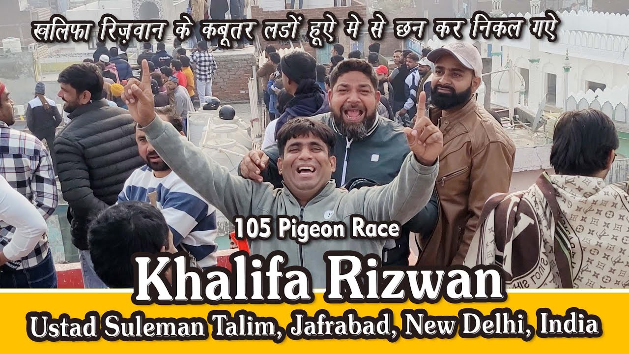 Khalifa Rizvan Ki 105 Kabutar Ki Pigeon Race vs Usman Khalifa