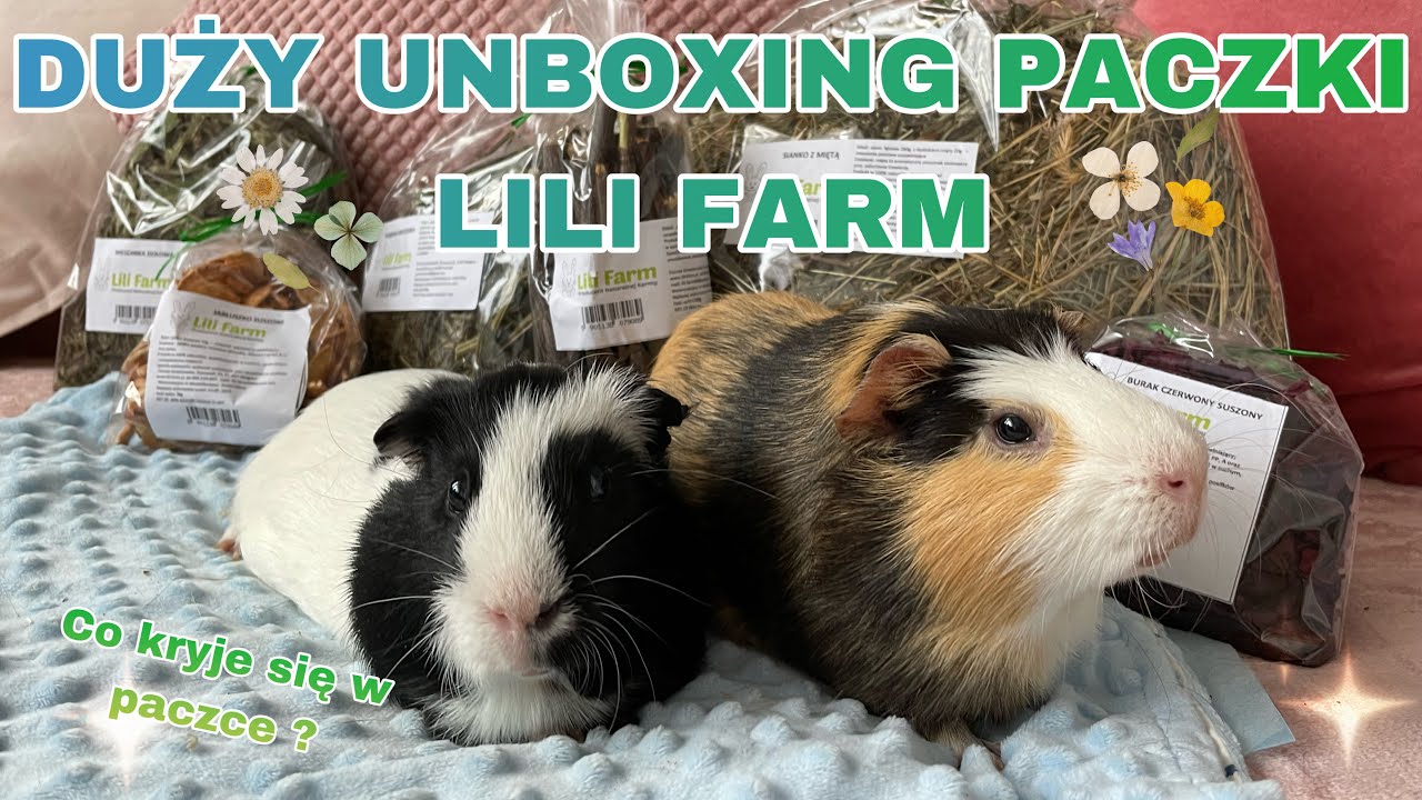 DUŻY UNBOXING PACZKI Z LILI FARM ❤️🍀🍀( ZIOŁA DLA GRYZONI I KR&Oacute;LIK&Oacute;W) 🐹🐭🐰