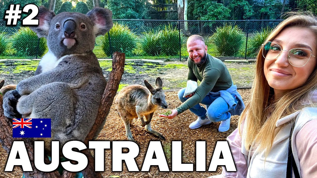 Jak AUSTRALIA to oczywiście KANGURY , KOALE i piękna Opera w SYDNEY #2