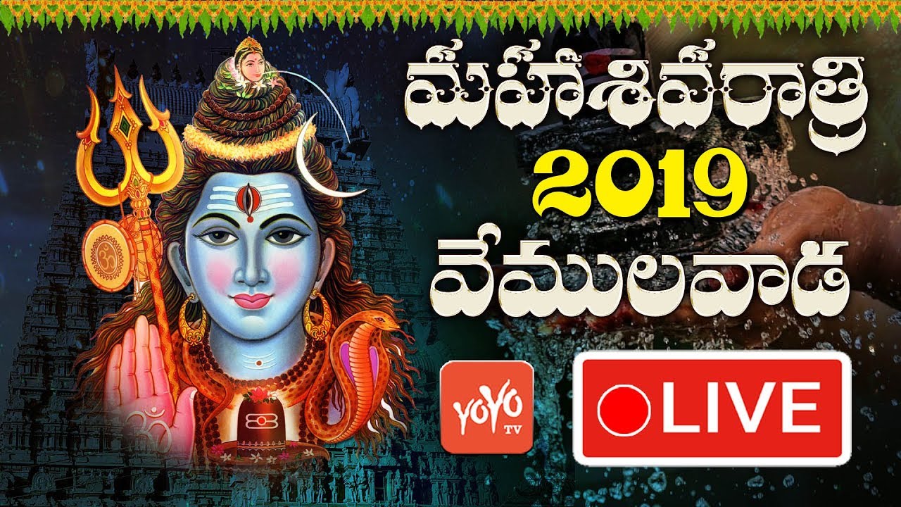 Maha Shivaratri 2019 | Vemulavada Rajanna Temple | Telangana | Lord Shiva Pooja | YOYO TV Channel