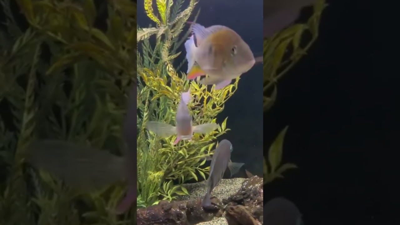Is Your Water “ALIVE?”