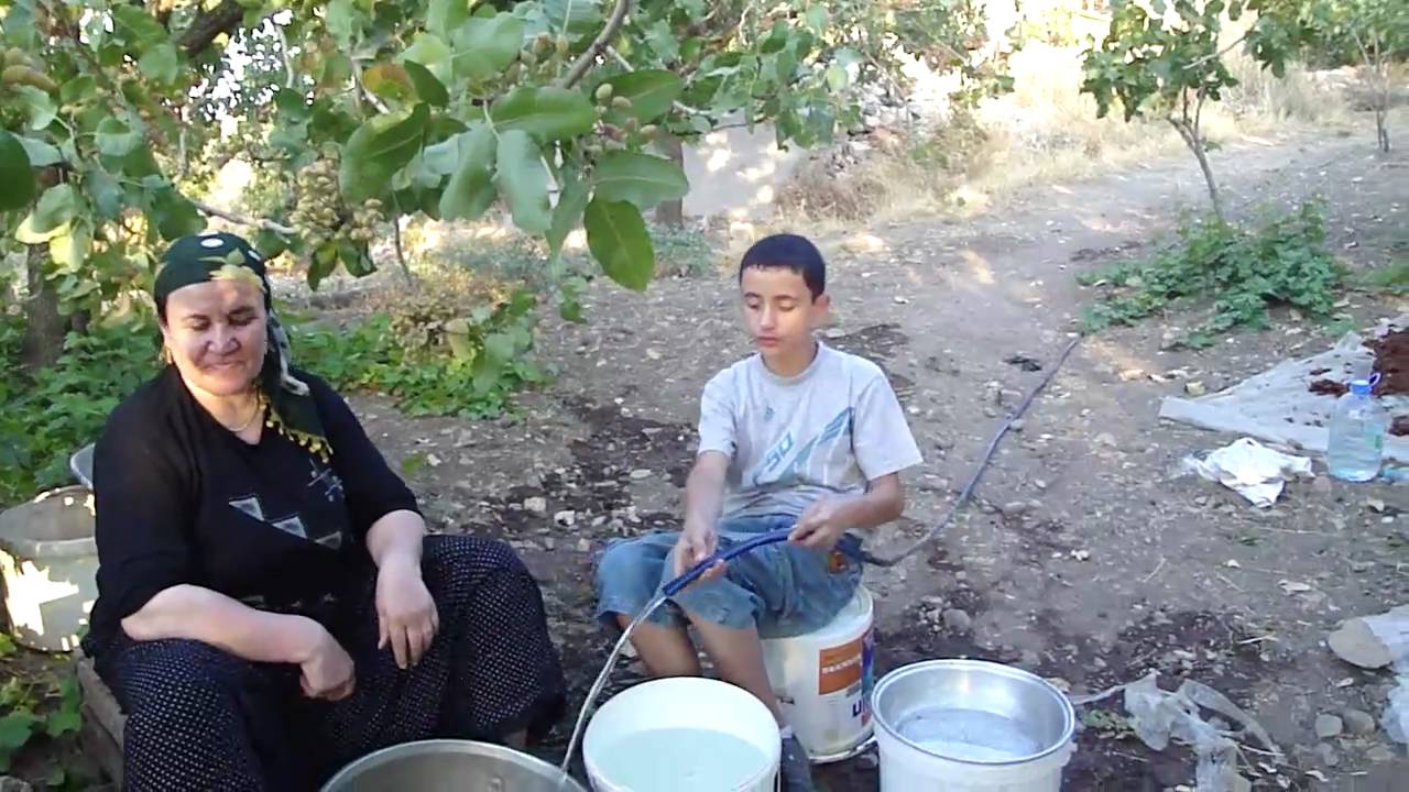 Siirt/Gokcebag/Kocpinar/ Tri Guvastin