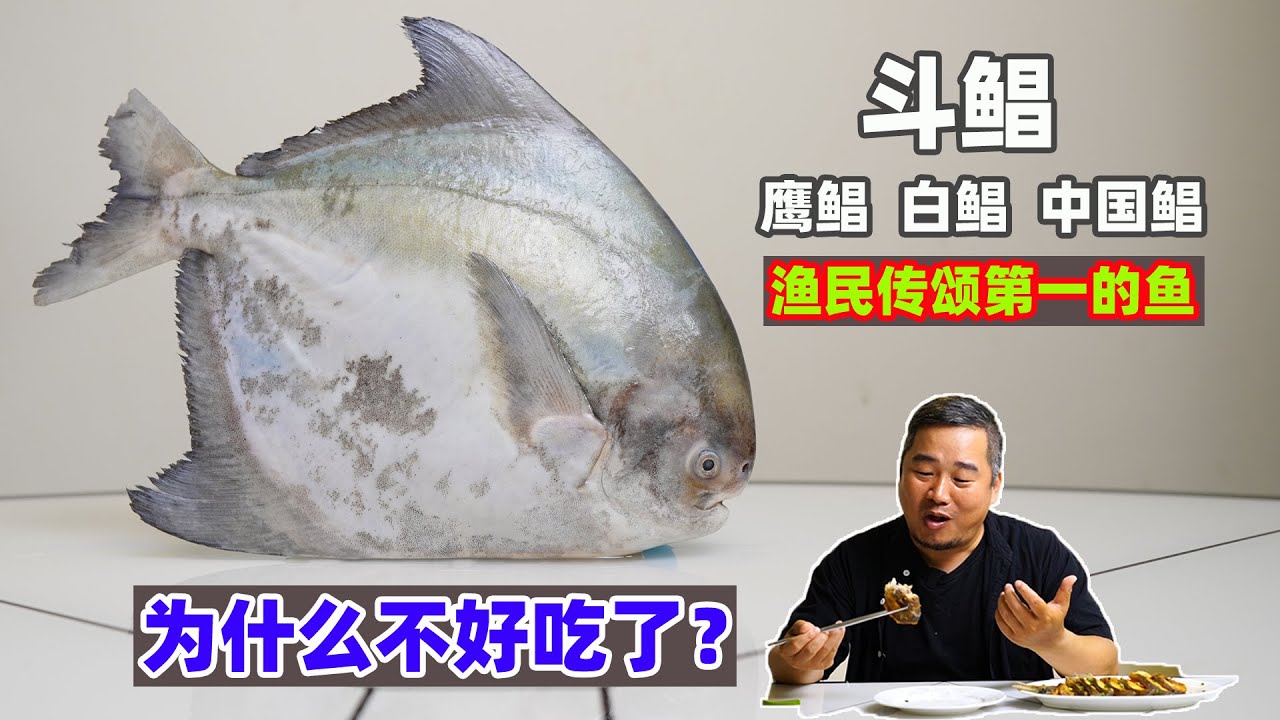 鹰鲳斗鲳白鲳鱼，沿海传颂的天花板级海鲜，聊聊它不好吃的原因