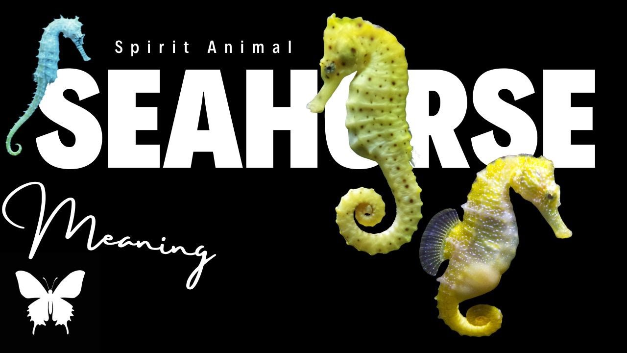 Seahorse Spirit Animal | Seahorse Spirit Guide| SEAHORSE Symbolism | Seahorse Totem