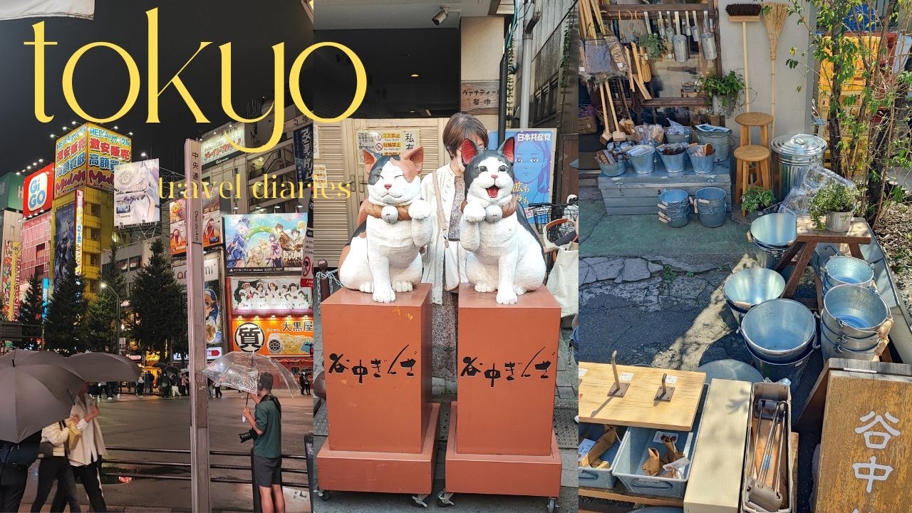 First time in Tokio I Akihabara & Sumida & impressions of Tokio I Japan travel vlog pt1