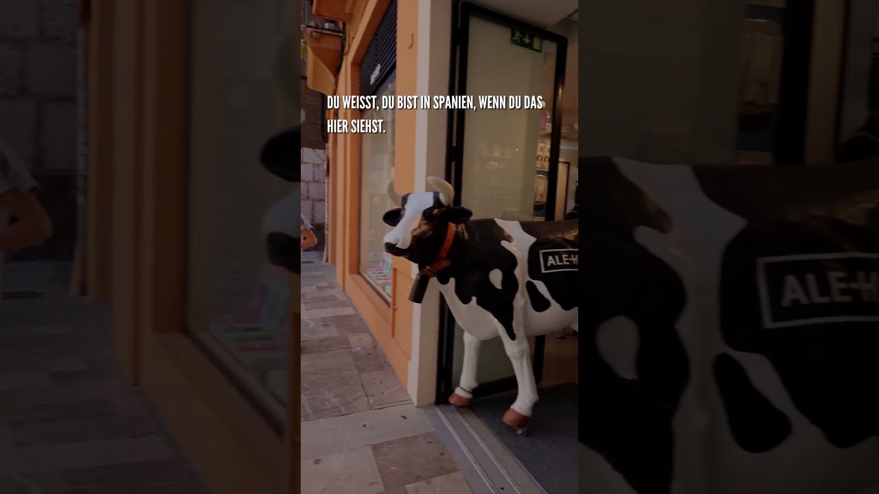 Wenn du wei&szlig;t, du bist in Spanien &hellip; 🇪🇸🐄
