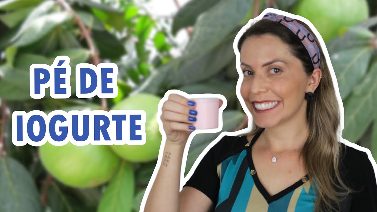 FRUTA-IOGURTE ou ARAÇÁ-BOI | Fruta nativa da Amazônia | Como fazer iogurte natural