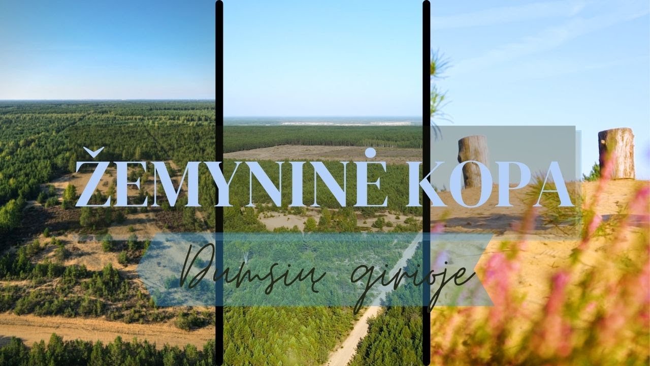 Žemyninė kopa Dumsių girioje I Ruduo I KylamKrentam