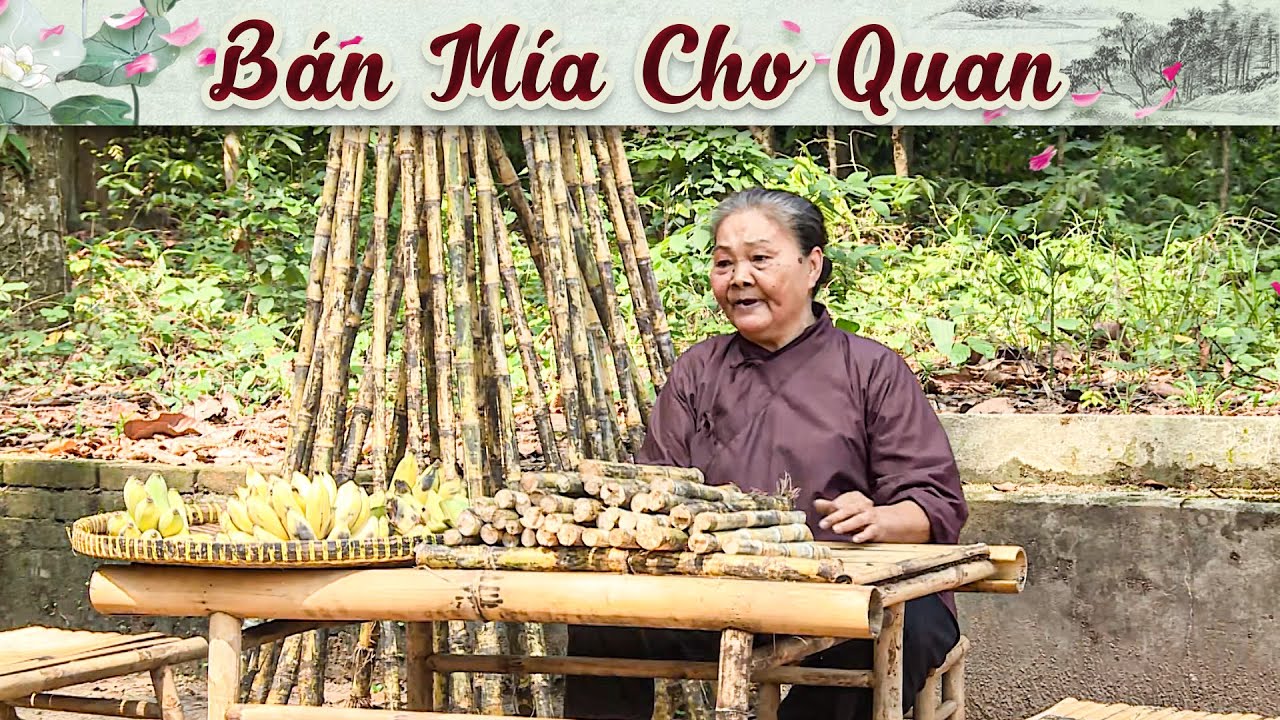 Cổ Tích Mới 2025 - BÁN MÍA CHO QUAN | Truyện Cổ Tích Việt Nam 2025 | Cổ Tích Hay Nhất Việt Nam