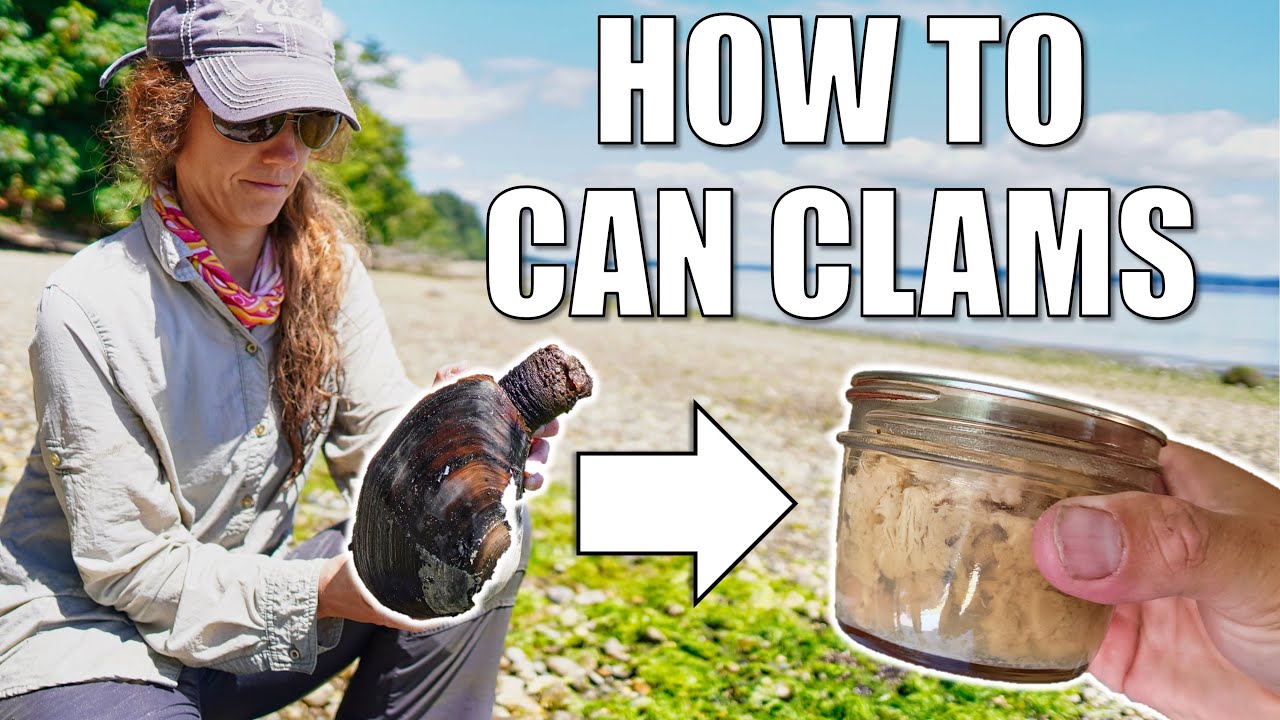 How to Can Clams