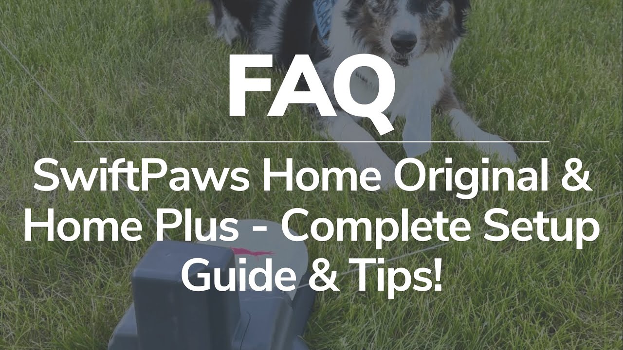 SwiftPaws Home Original и Home Plus — полное руководство по настройке и советы!