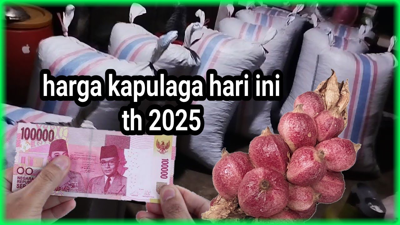 Harga terbaru kapulaga hari ini