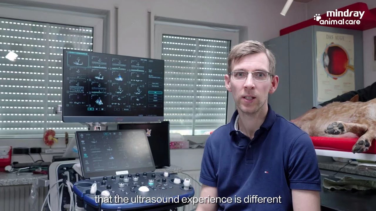Vetus 9 in Germany | ZST+ platform, a new standard of ultrasound imaging quality