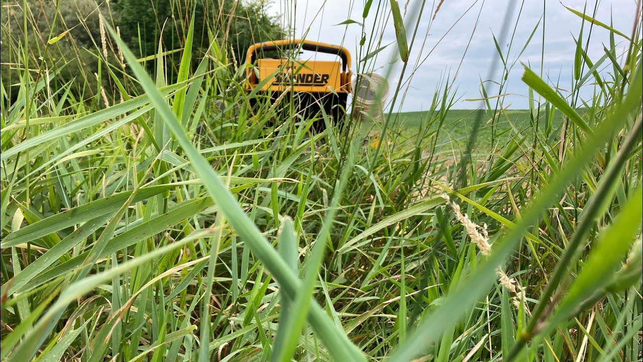 Mowing Overgrown Property