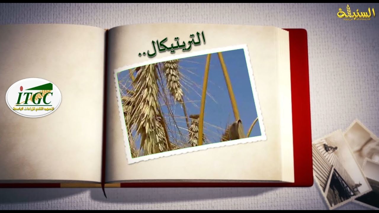 قناة 