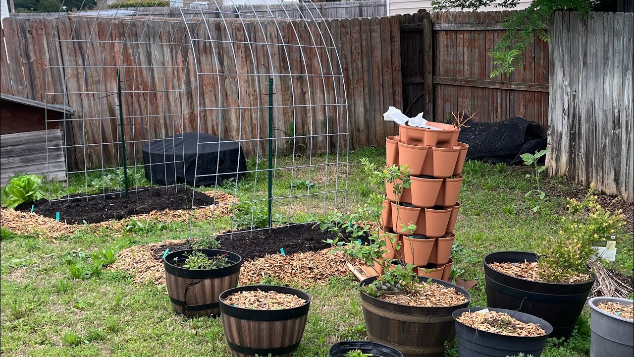 Full Garden Tour! 4/2/23 Zone 8A