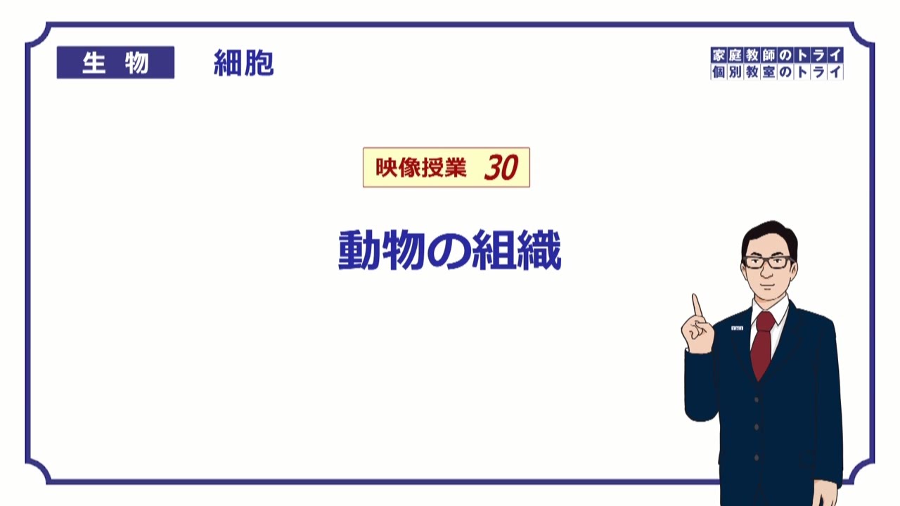 【高校生物】　細胞30　動物の組織（１７分）