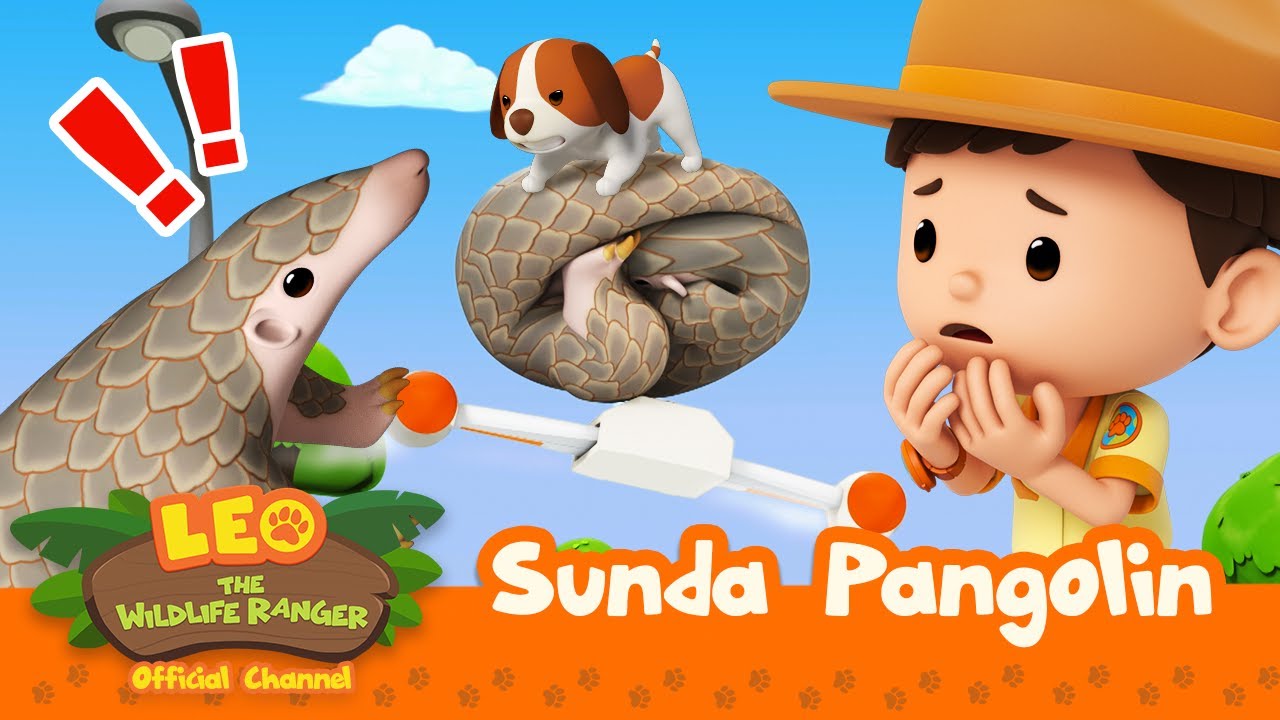 SAVE the PANGOLIN! on World Wildlife Day! | Sunda Pangolin | Leo the Wildlife Ranger | #compilation