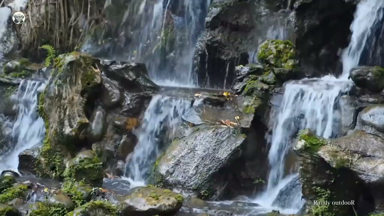 8K Relaxing Nature water sounds in forest singing birds of Nature 6hrs outdoor