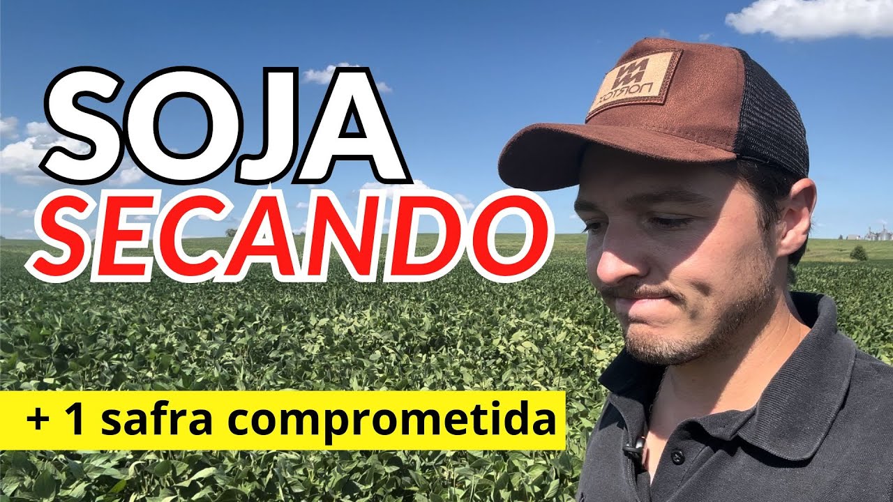A PROXIMA CHUVA NÃO PODE NEGAR!! 🙏 🙏