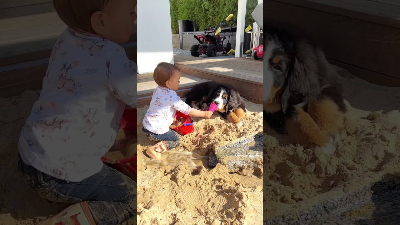 Baby & Puppy Love 👶🏻🐶 Best friends forever #shorts Mamiseelen