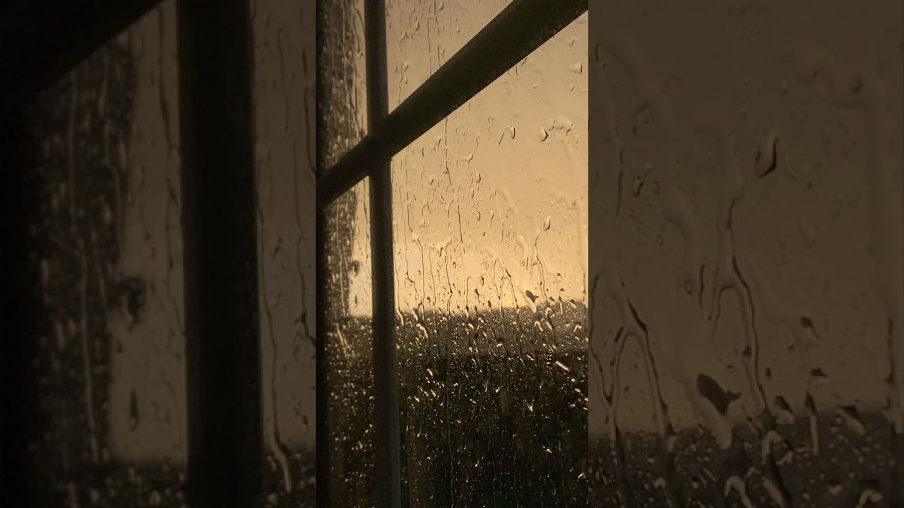 In The Dusk Rain Playlist